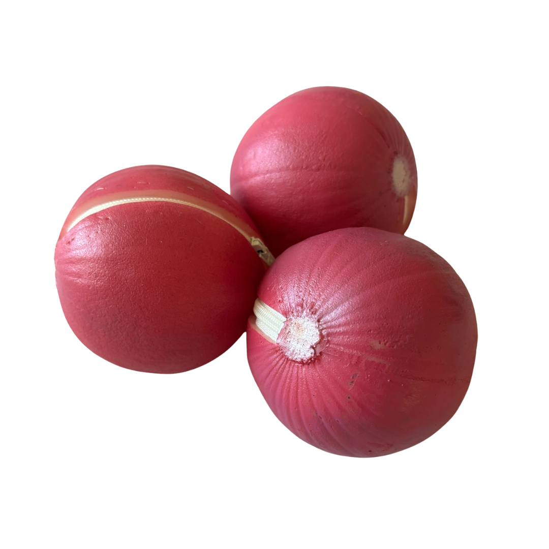 Purple Onion Coin Purse