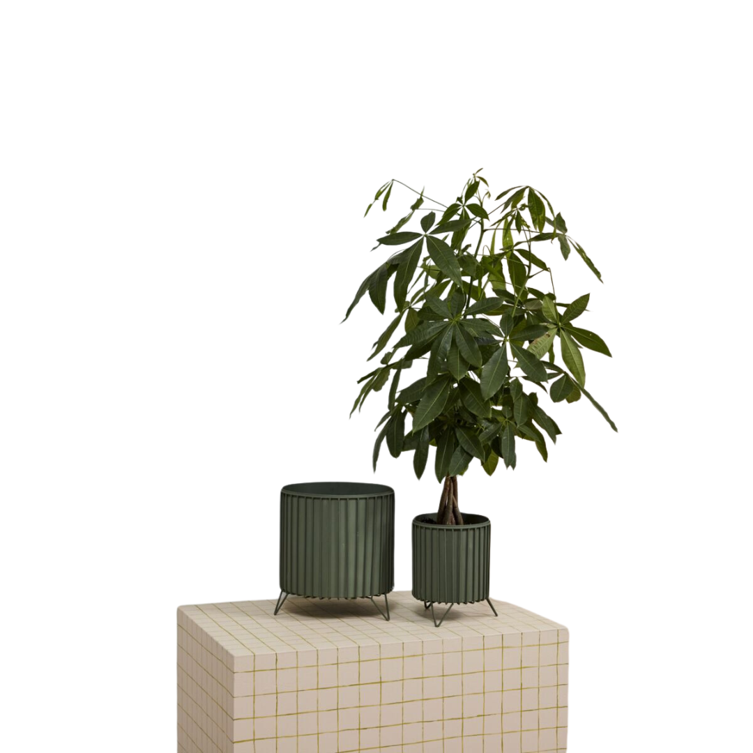 Corum Planter