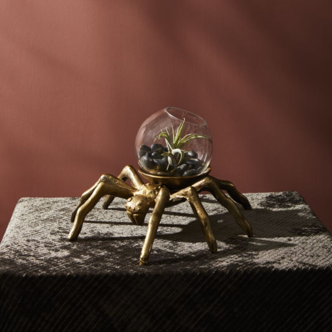 Arachnid Terrarium