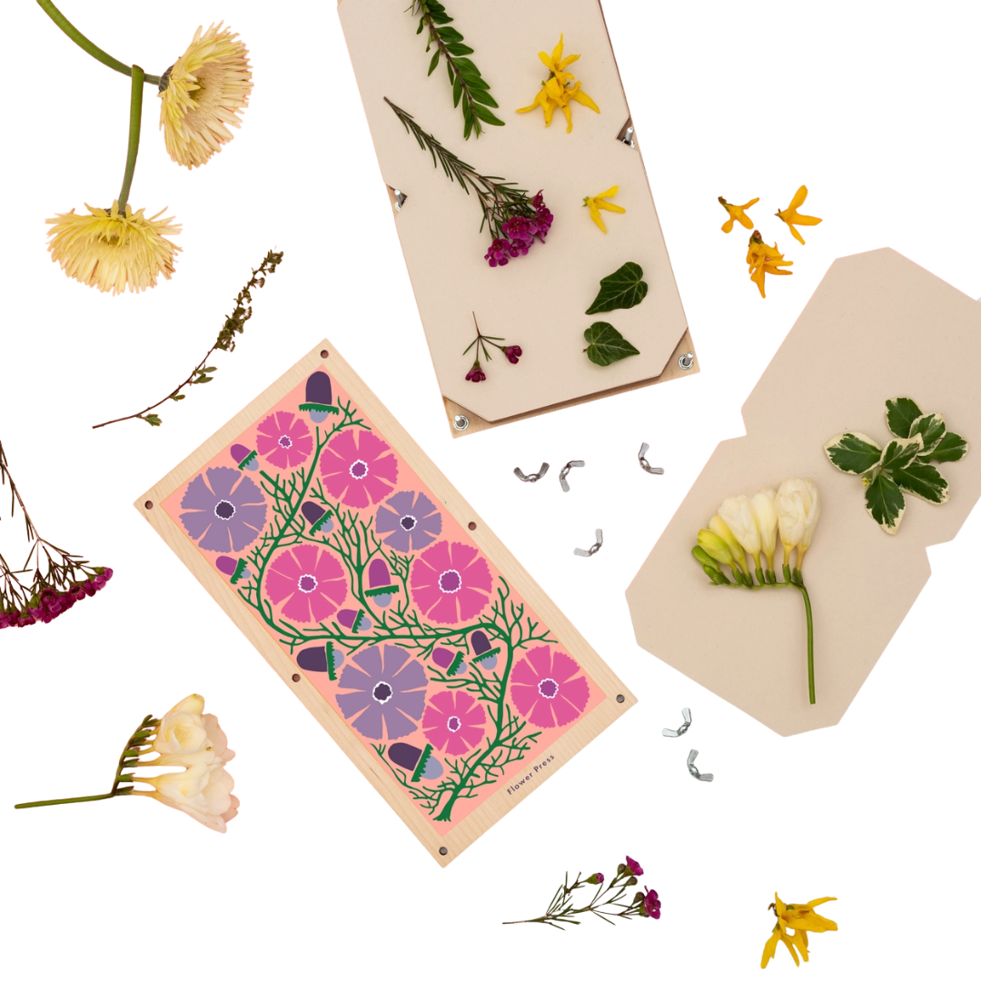 Large Flower Press - Cosmos