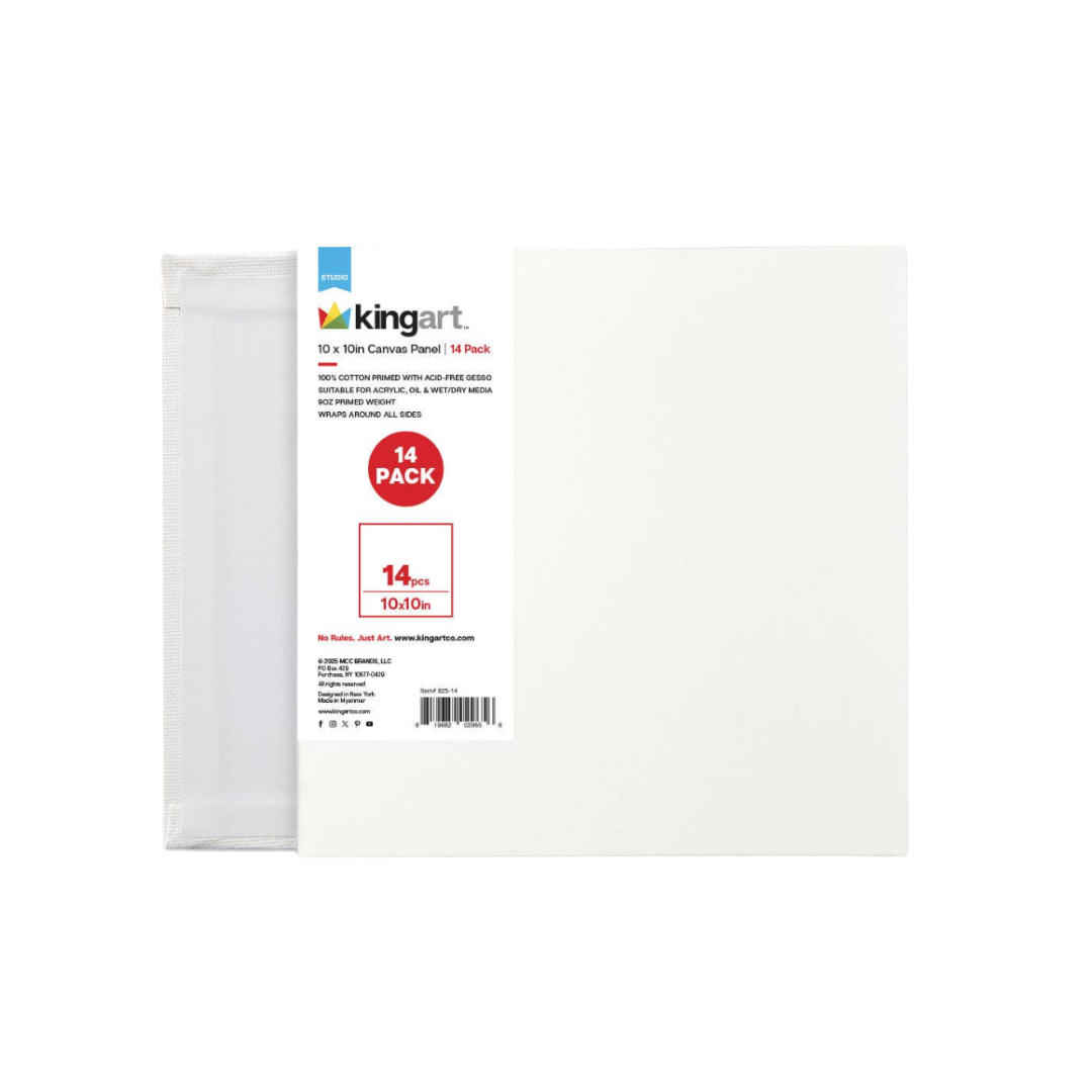 Canvas Panels 10x10 14 pc