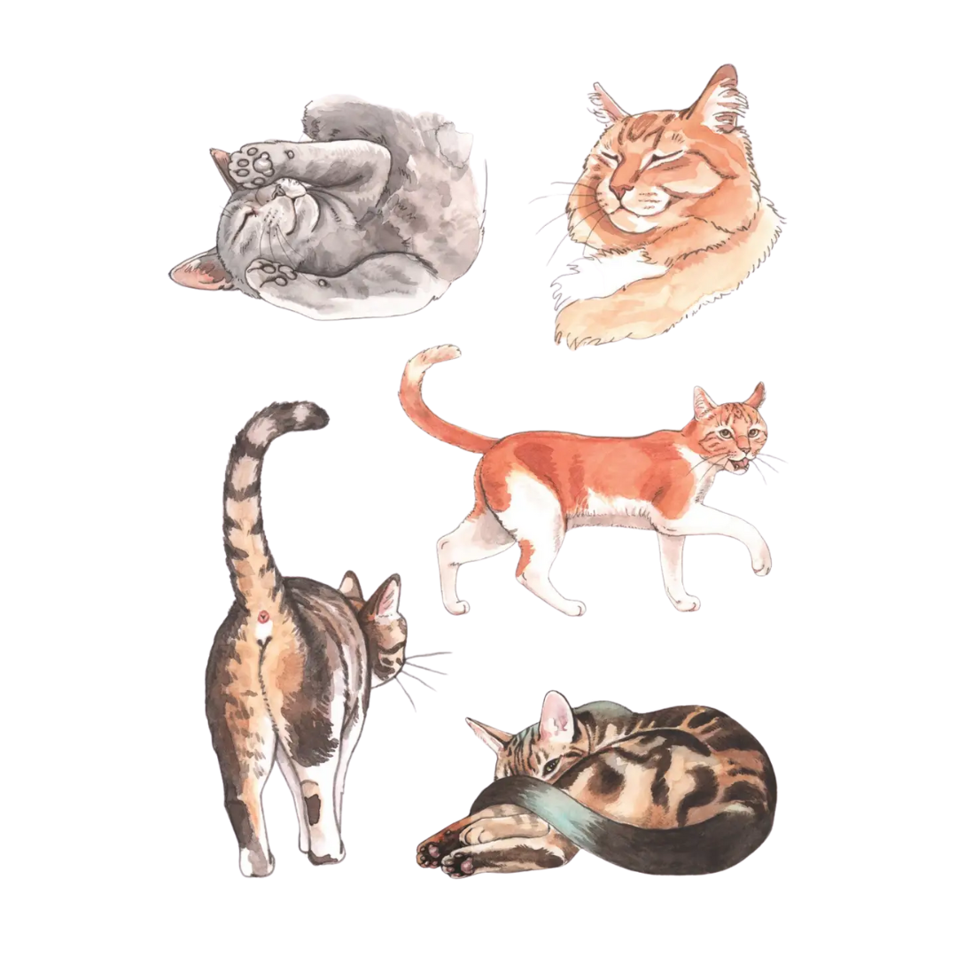 Cat's Meow Sticker Book