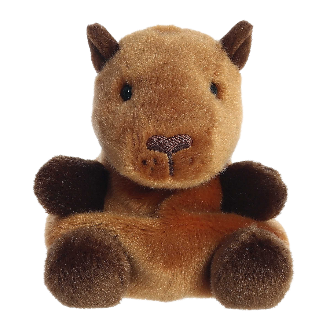 Sid Capybara
