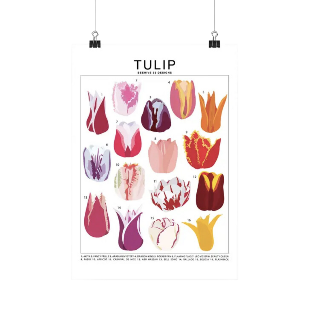 Tulip Species Id Chart - Botanical Floral Art Print