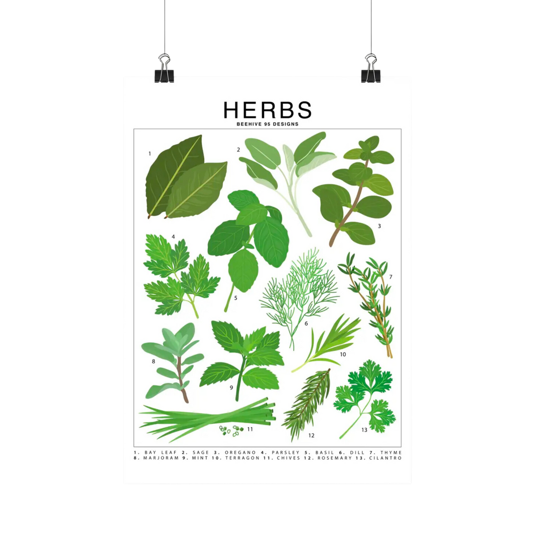 Herbs Species Id Chart - Botanical Garden Art Print