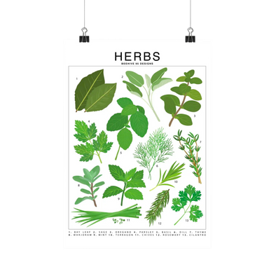 Herbs Species Id Chart - Botanical Garden Art Print