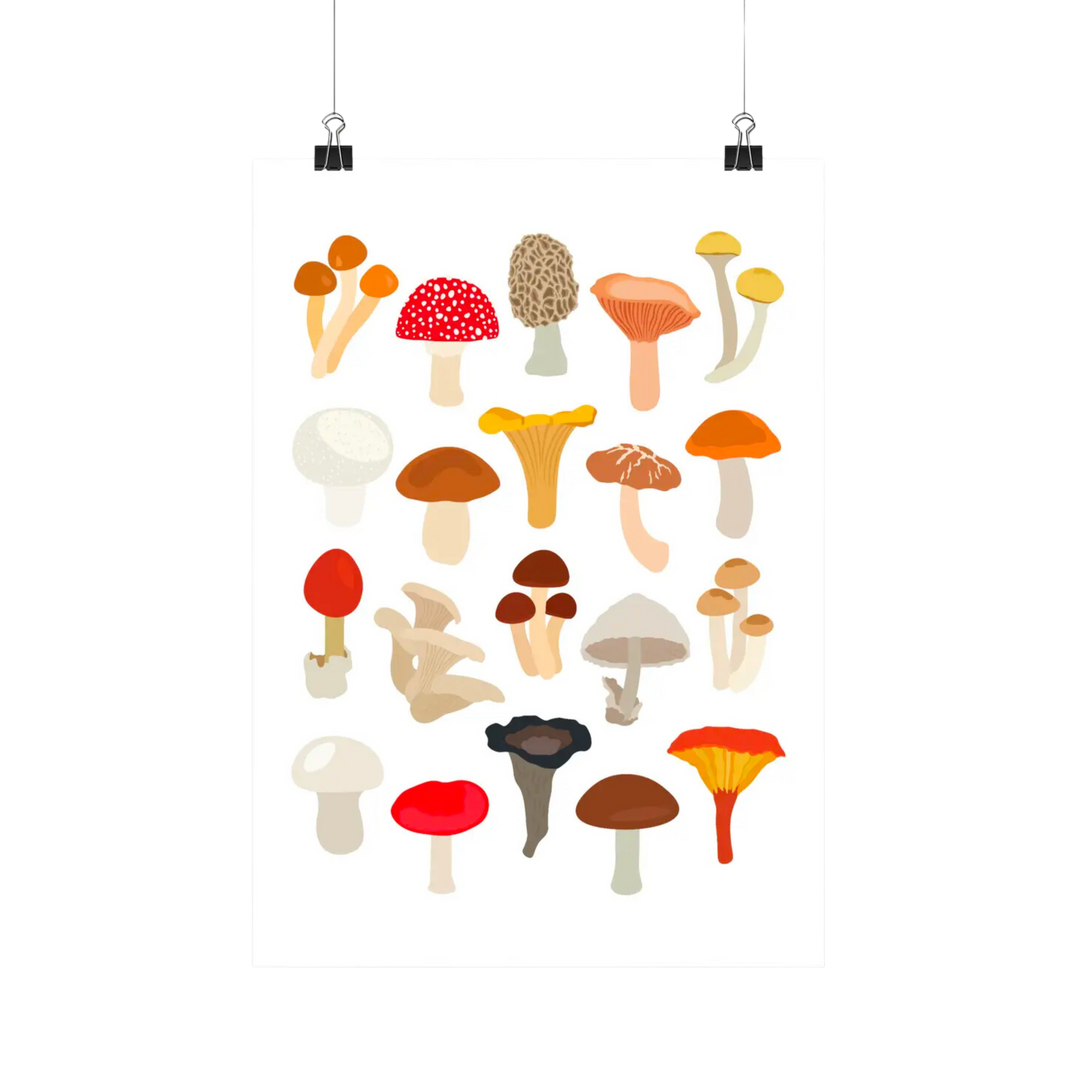 Mushrooms Species - Botanical Fungi Art Print