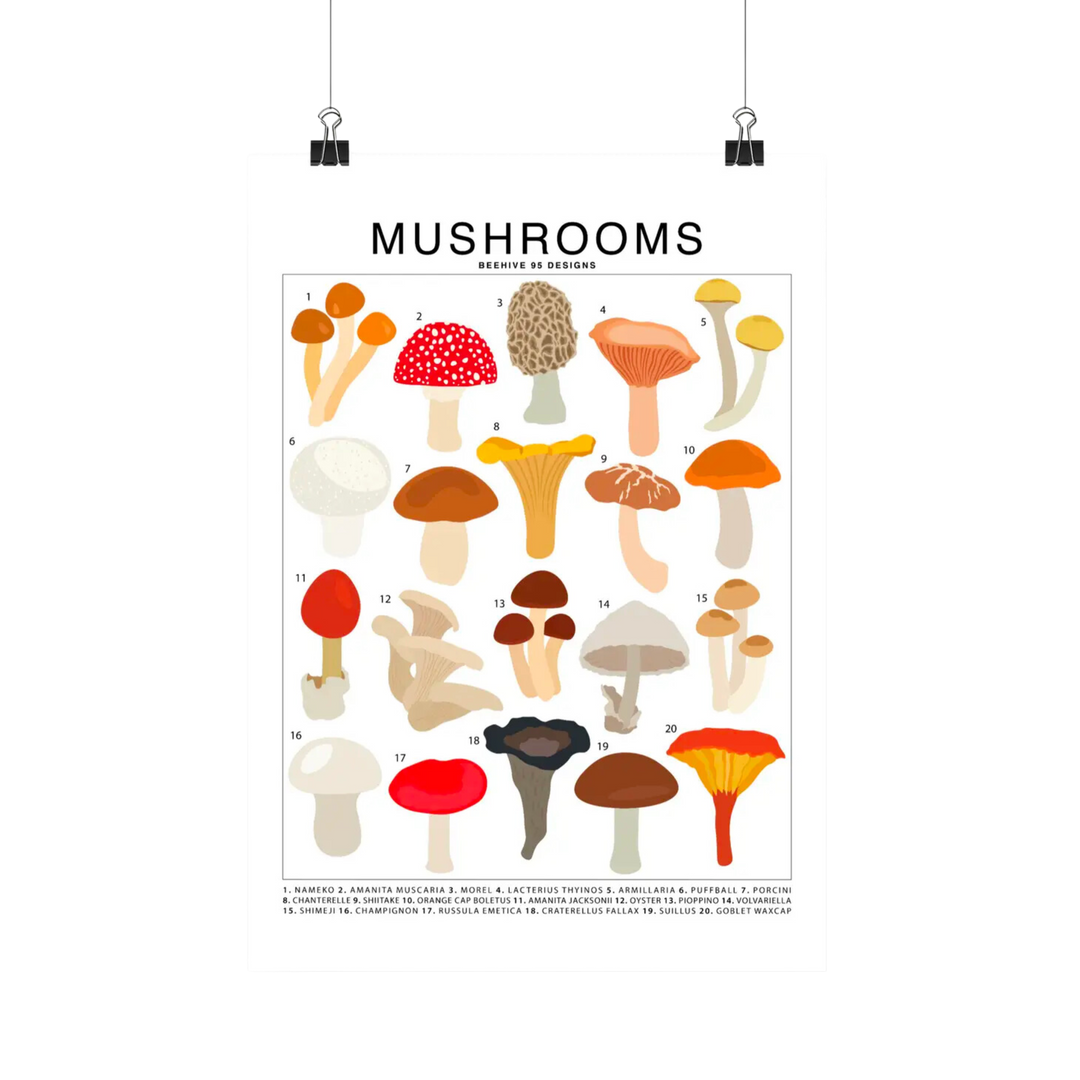 Mushrooms Species Id Chart - Botanical Fungi Art Print