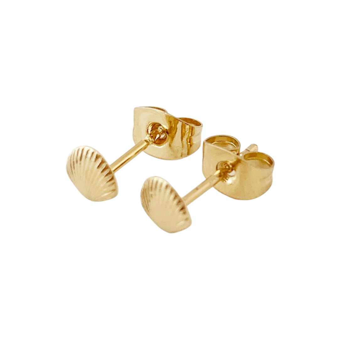 Mini Shell Stud Earrings