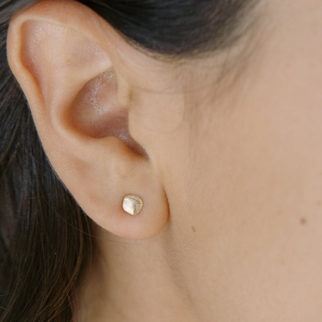 Mini Shell Stud Earrings
