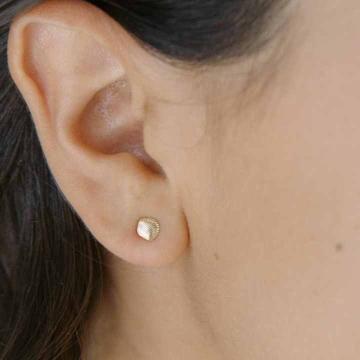 Mini Shell Stud Earrings