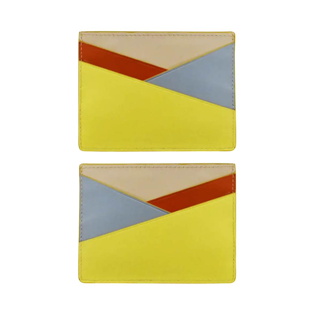 Asymmetic Card Case