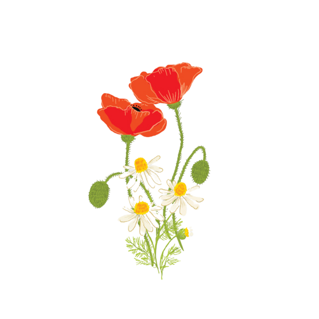 Poppies Single Sticker