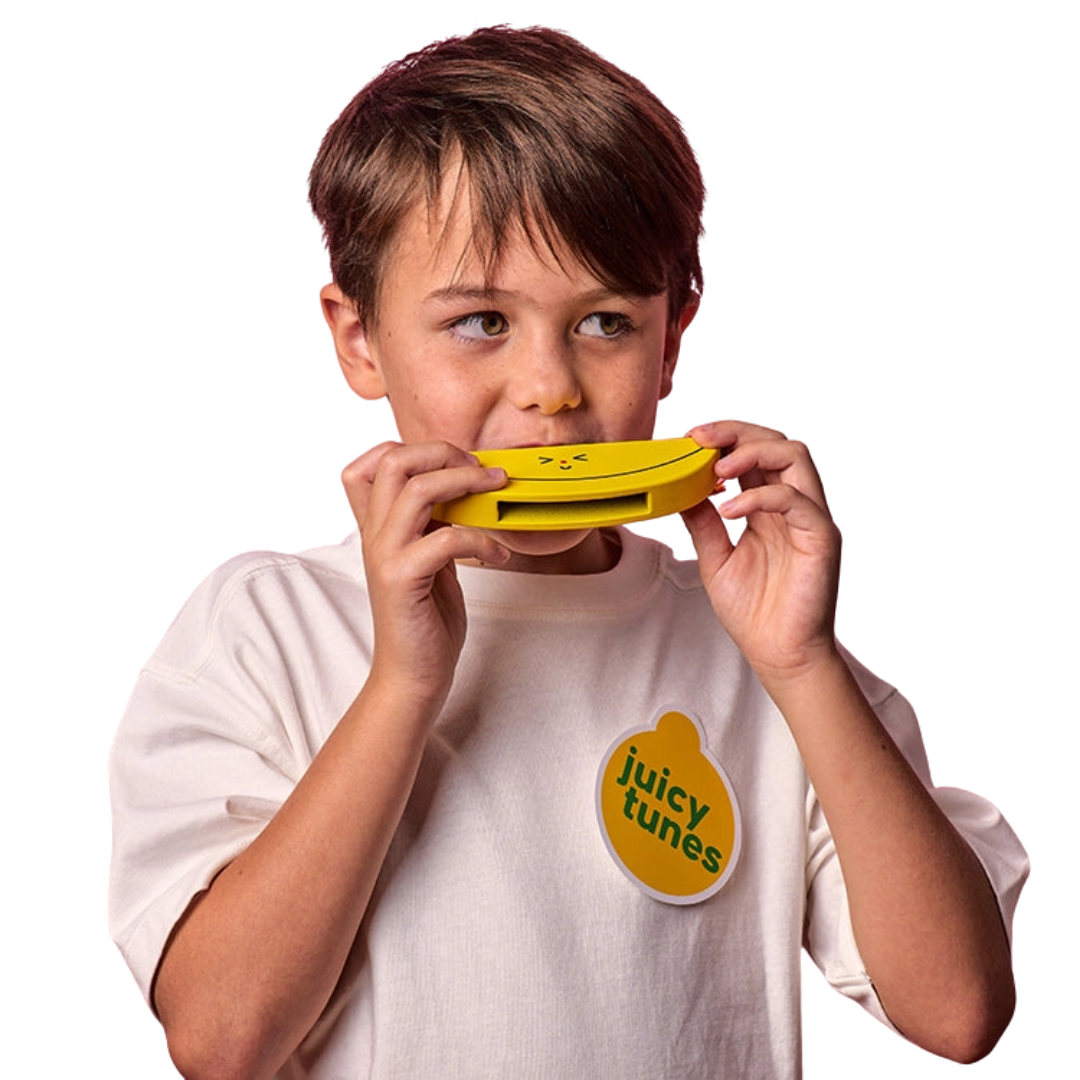 Wooden Fruit Harmonica