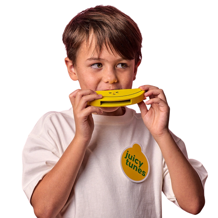 Wooden Fruit Harmonica