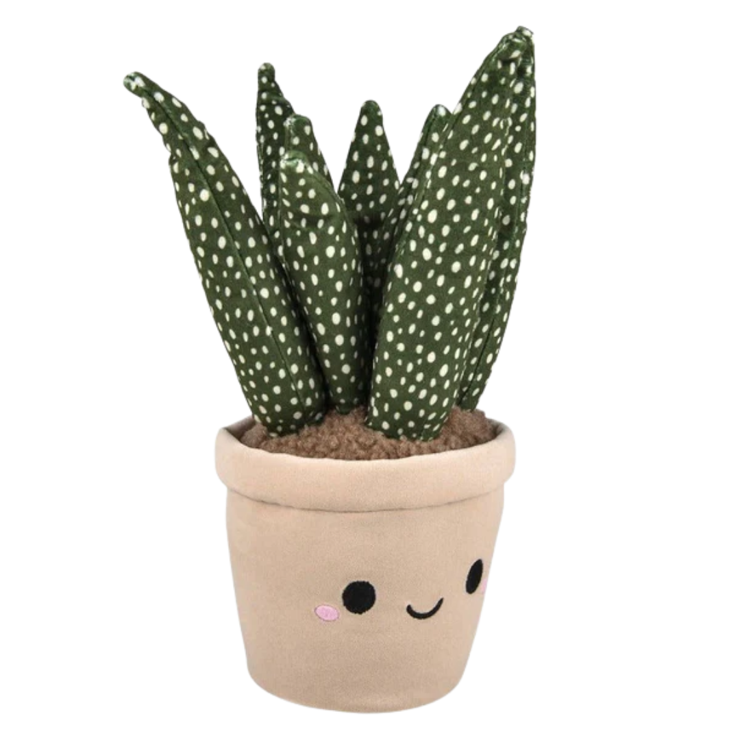 Plush Succulent