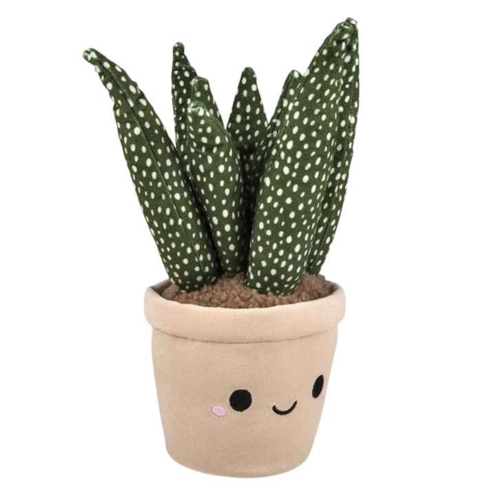 Plush Succulent