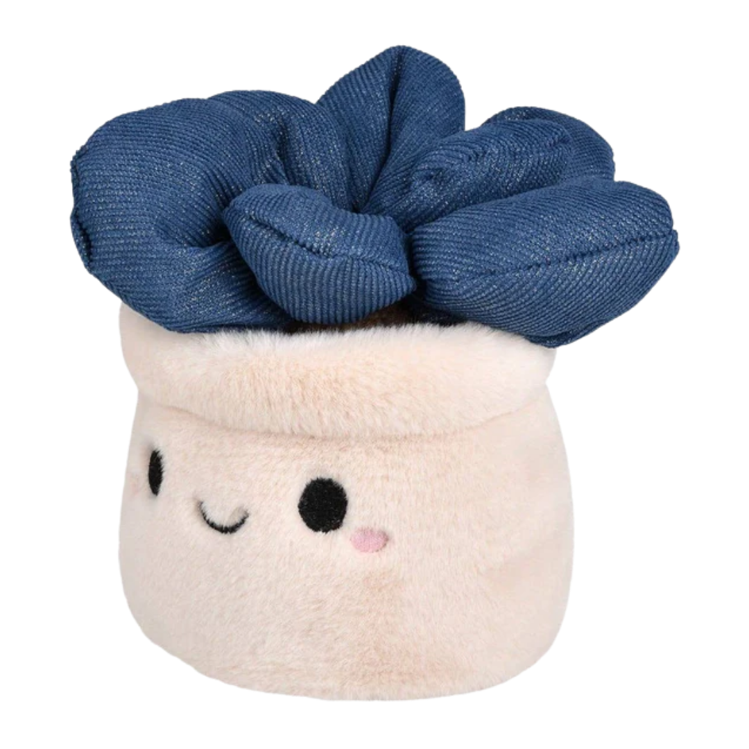 Plush Succulent
