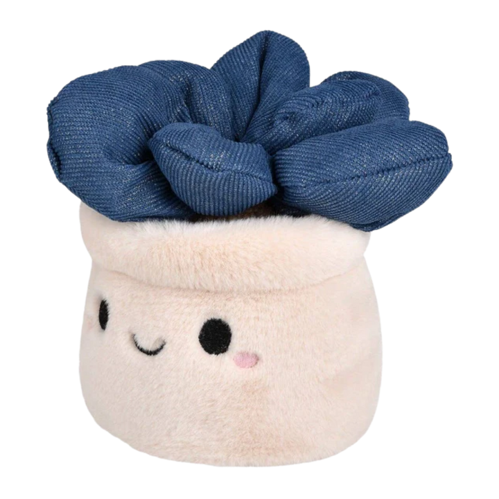 Plush Succulent
