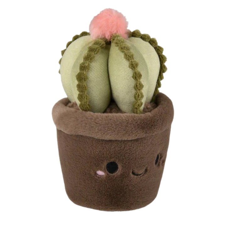 Plush Succulent