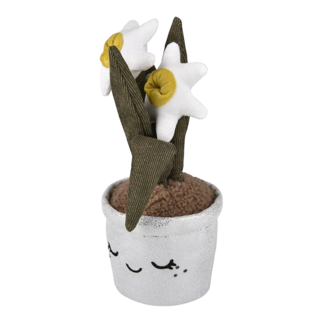 Plush Succulent