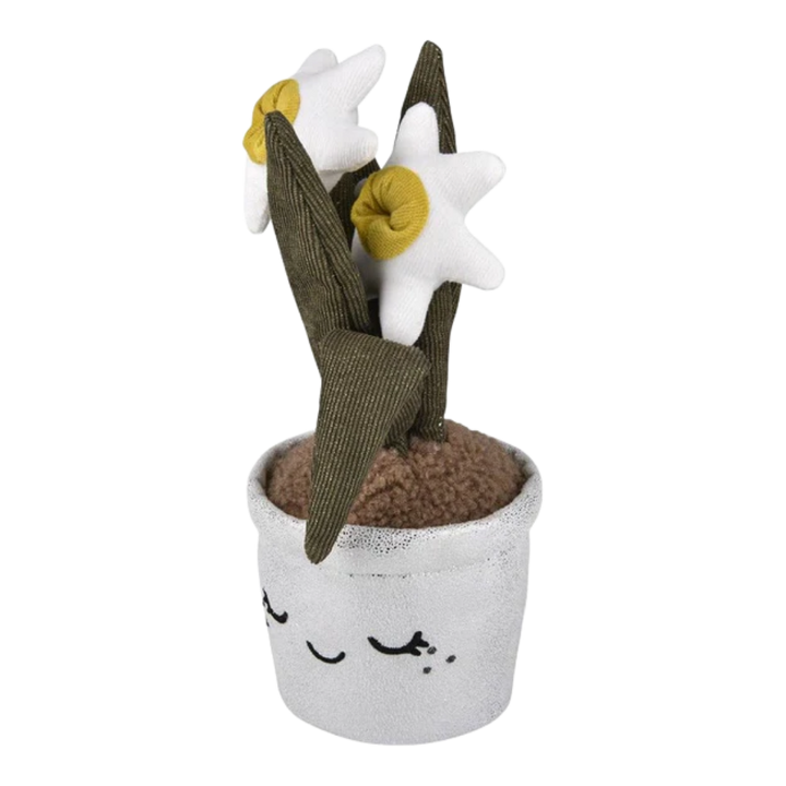 Plush Succulent