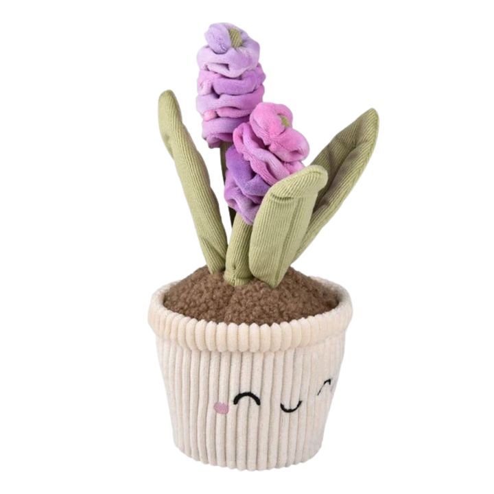 Plush Succulent