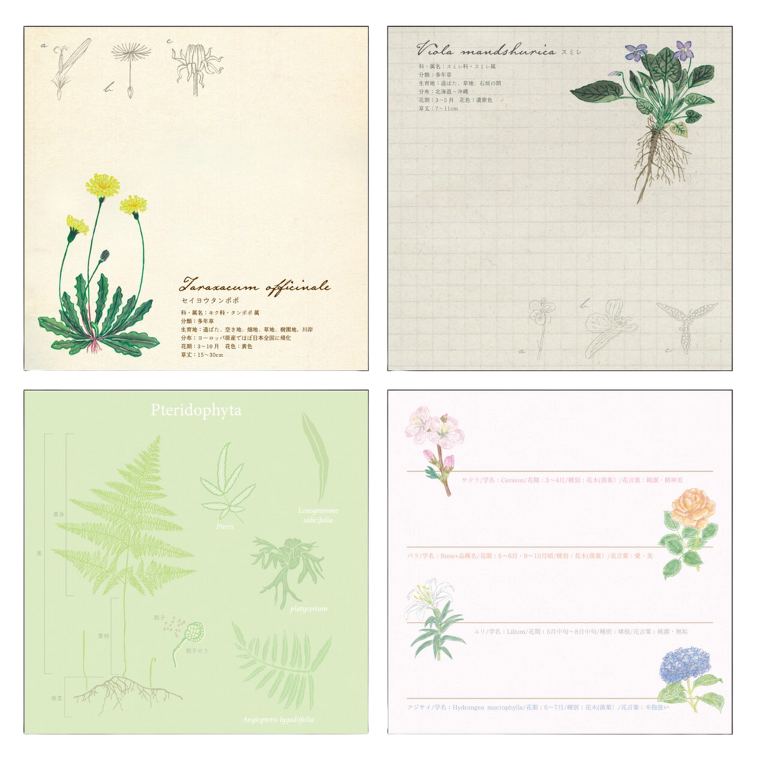 Green Flash Square Memo Pad, Botany