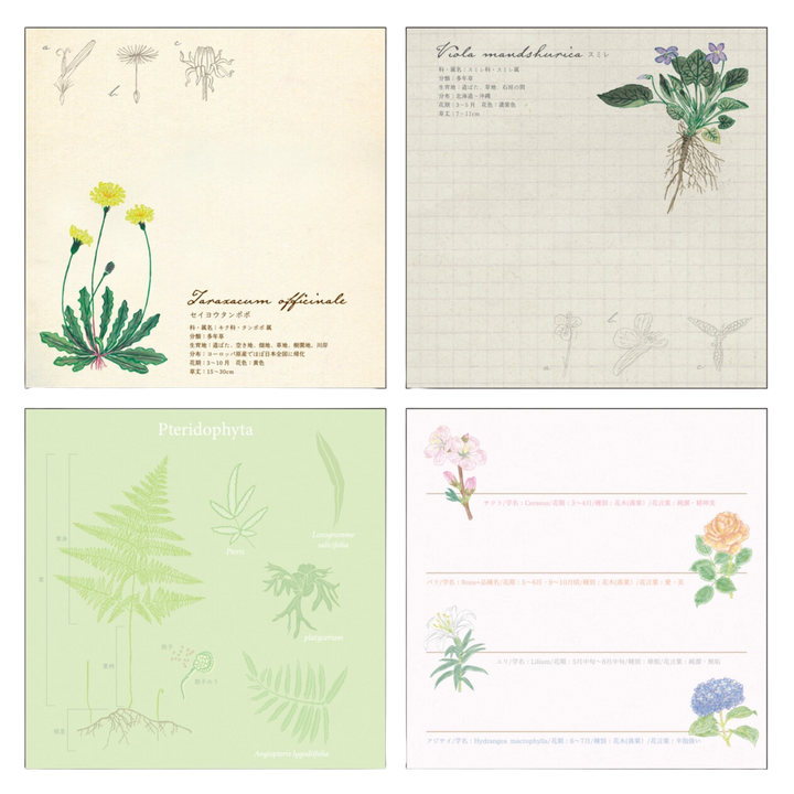 Green Flash Square Memo Pad, Botany