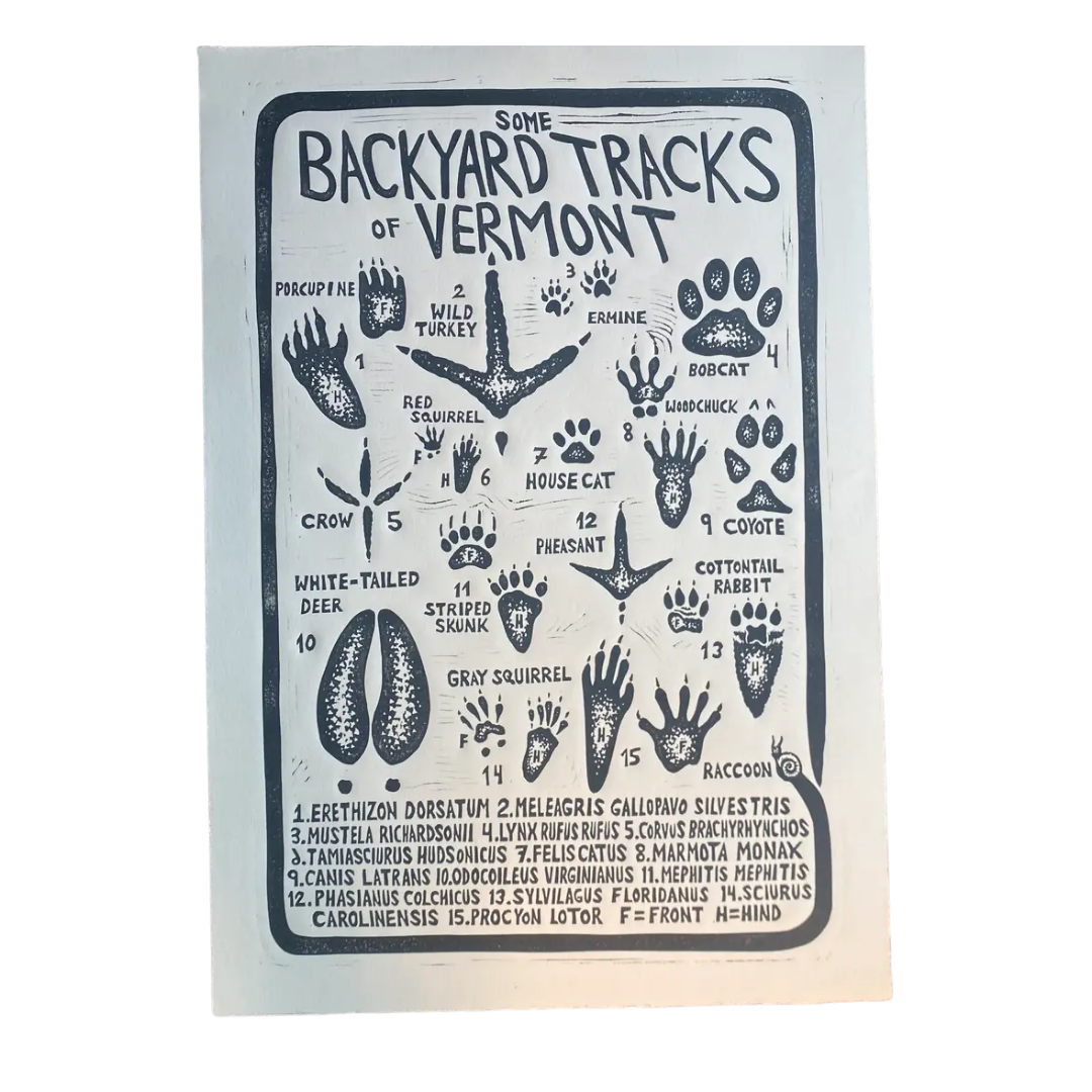 Some Backyard Tracks of Vermont Linocut Print