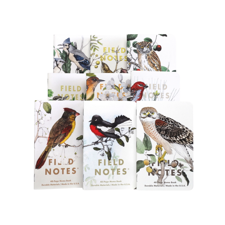 Birds and Trees of North America Field Notes- Pack A: Screech Owl, Blue Jay, Brewer Sparrow