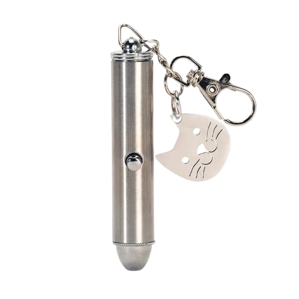 Rechargeable Laser Pointer