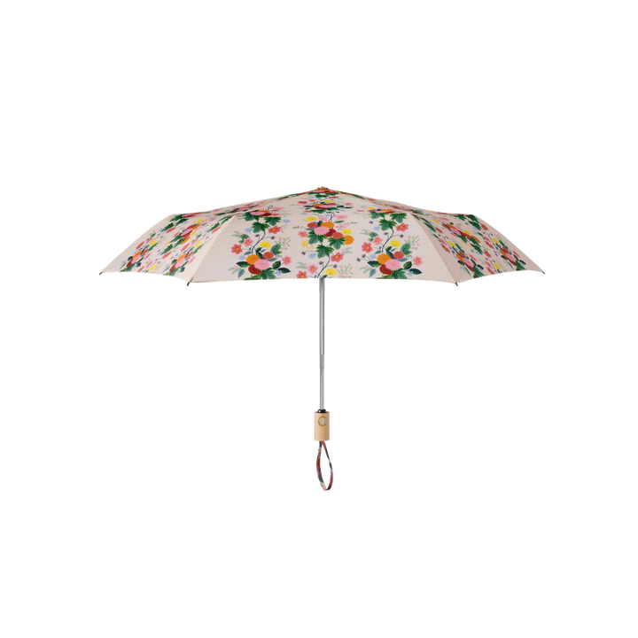 Dahlia Umbrella
