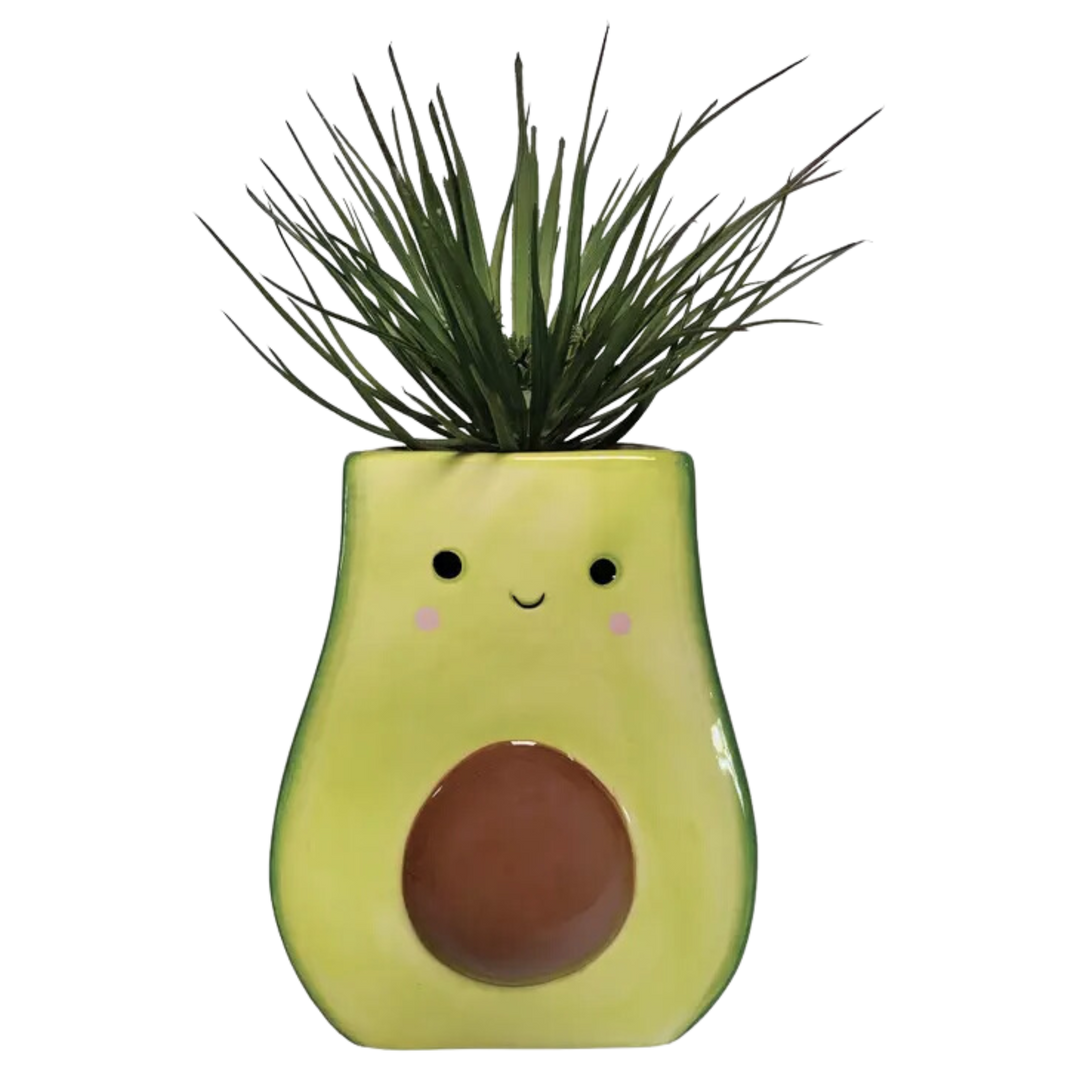 Avocado Planter