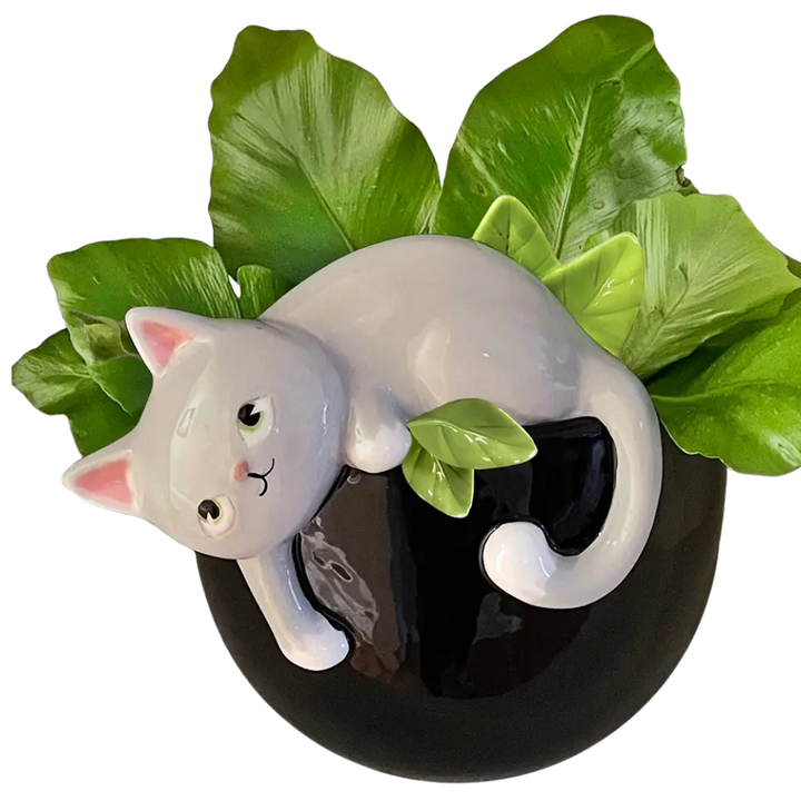 Peek-A-Boo Kitty Planter