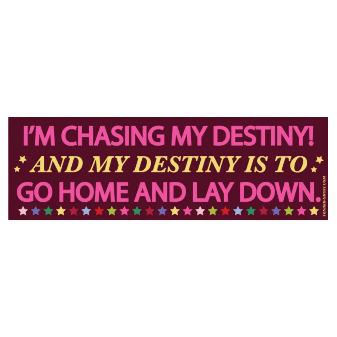 Chasing My Destiny Bumper Magnet