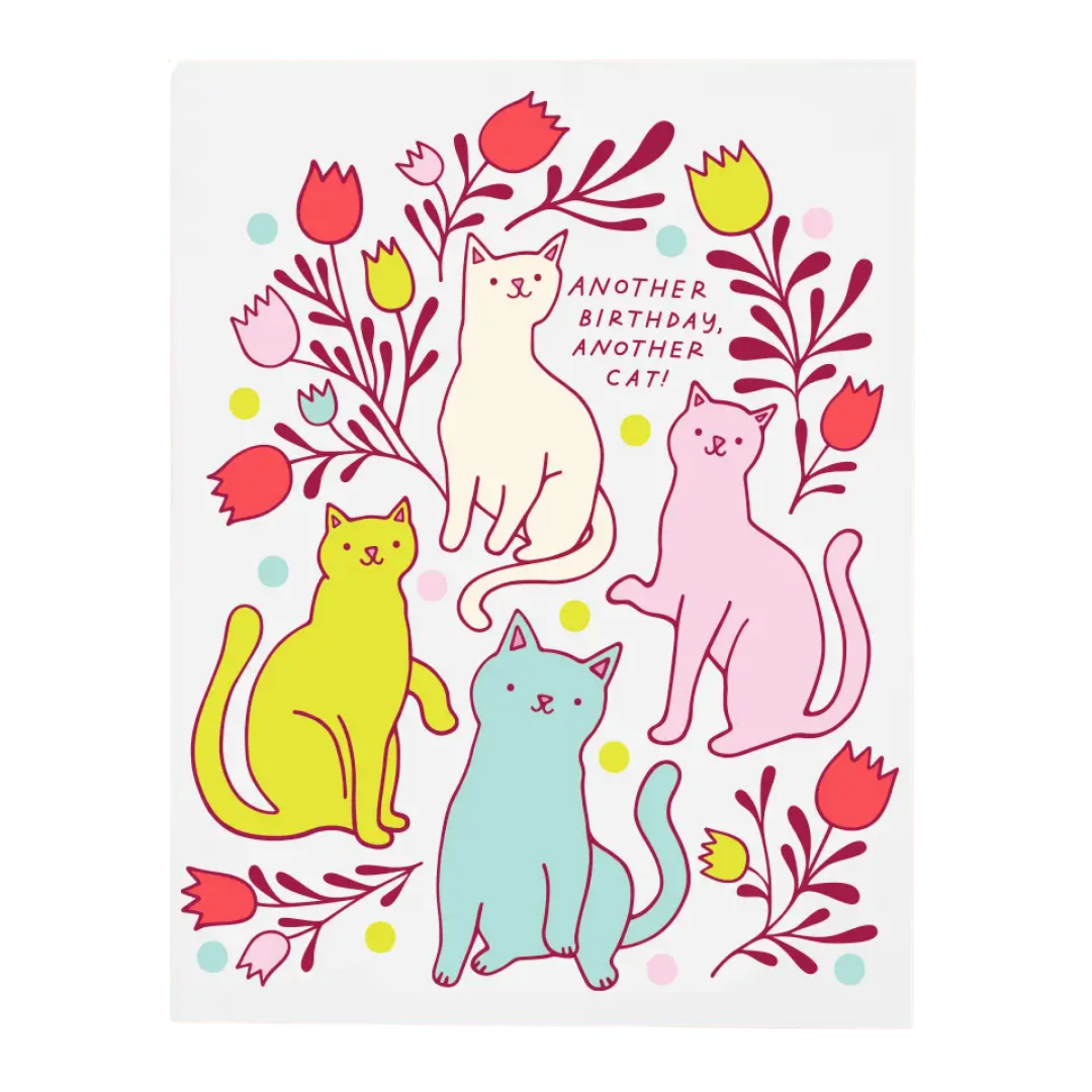 Another Cat Birthday Card