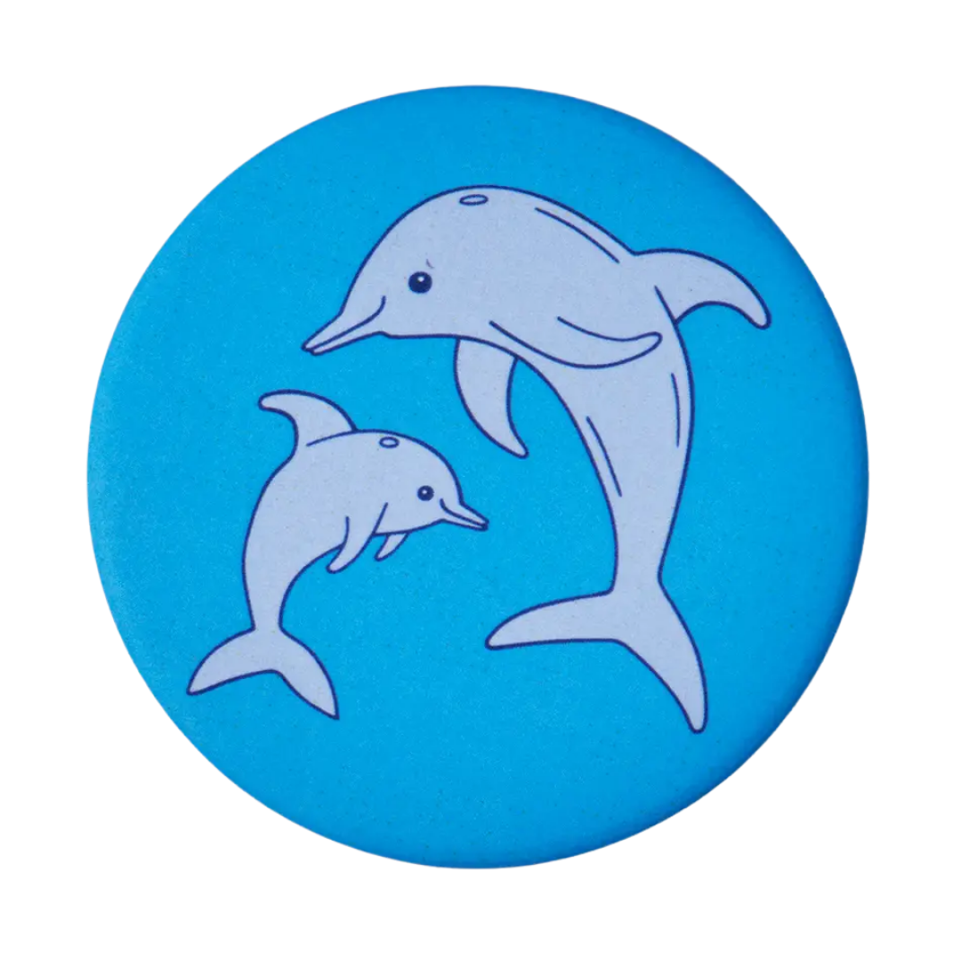 Dolphins Magnet