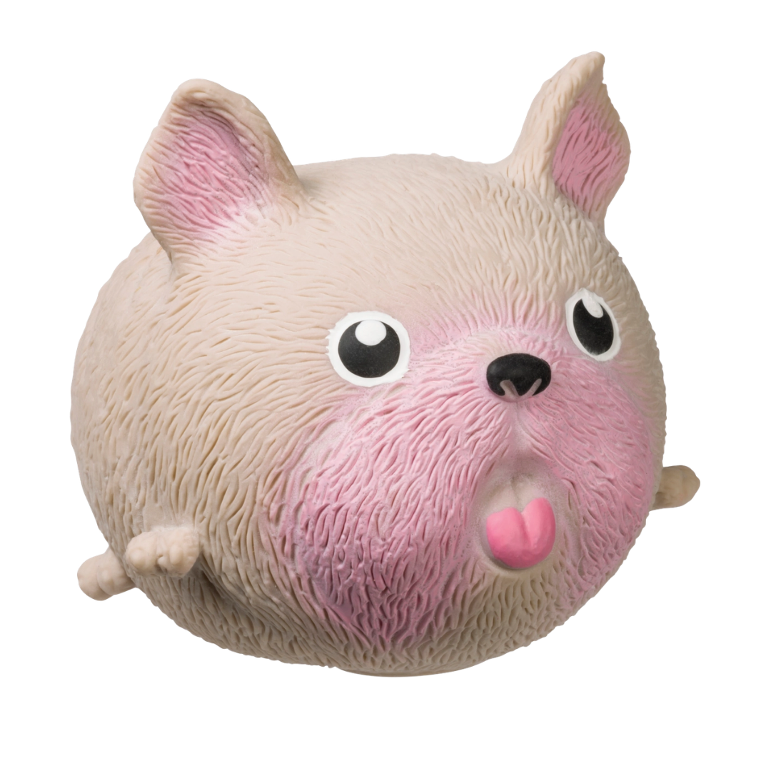 Skwishy Pet Dog