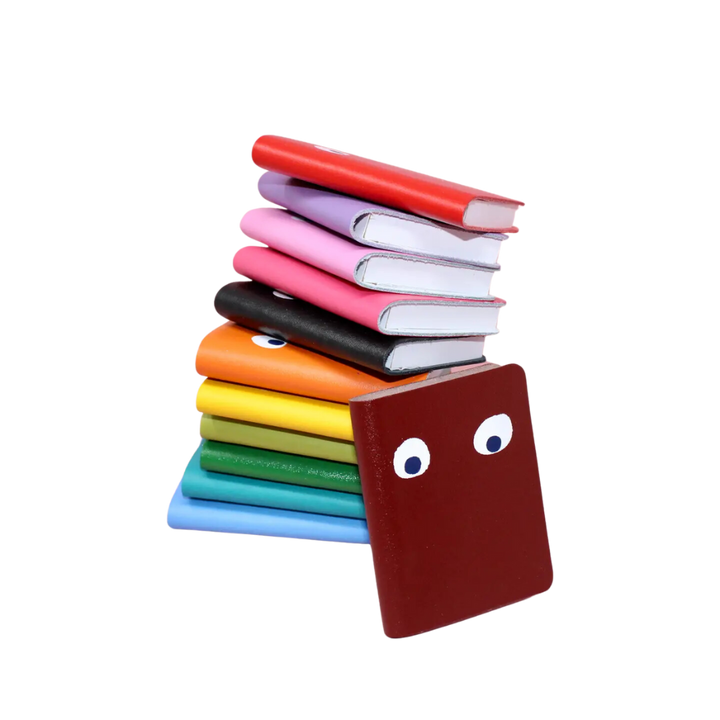 Googly Eye Mini Leather Notebook