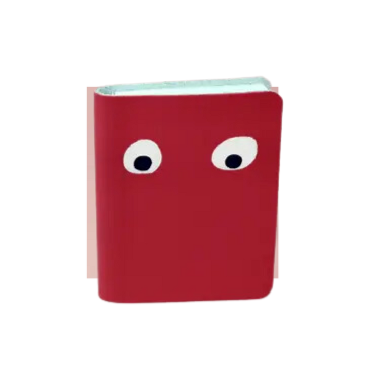 Googly Eye Mini Leather Notebook