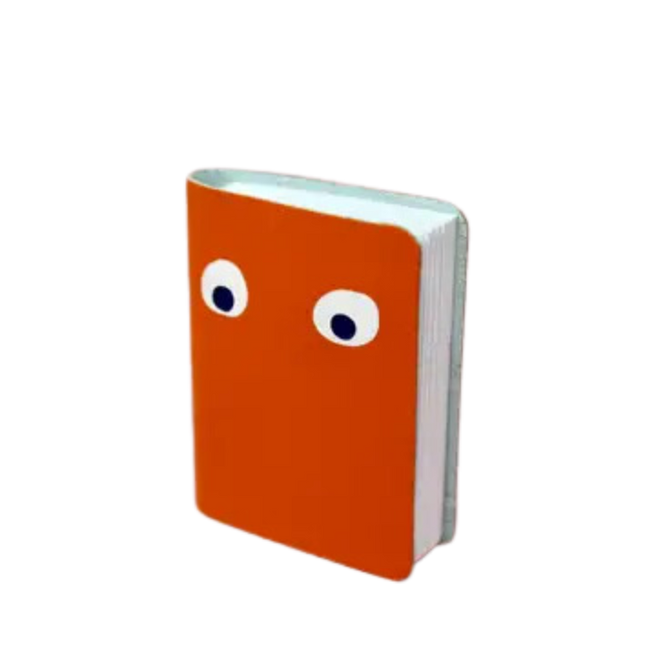 Googly Eye Mini Leather Notebook