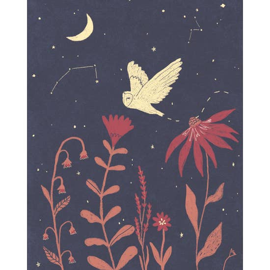 Night Owl 8x10 Print