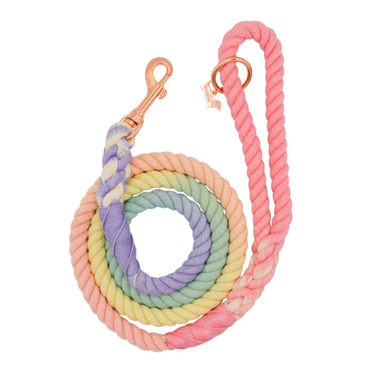 Rainbow Bright Dog Rope Leash