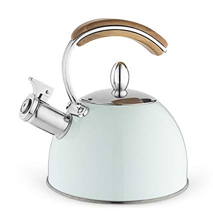 Presley Pistachio Tea Kettle