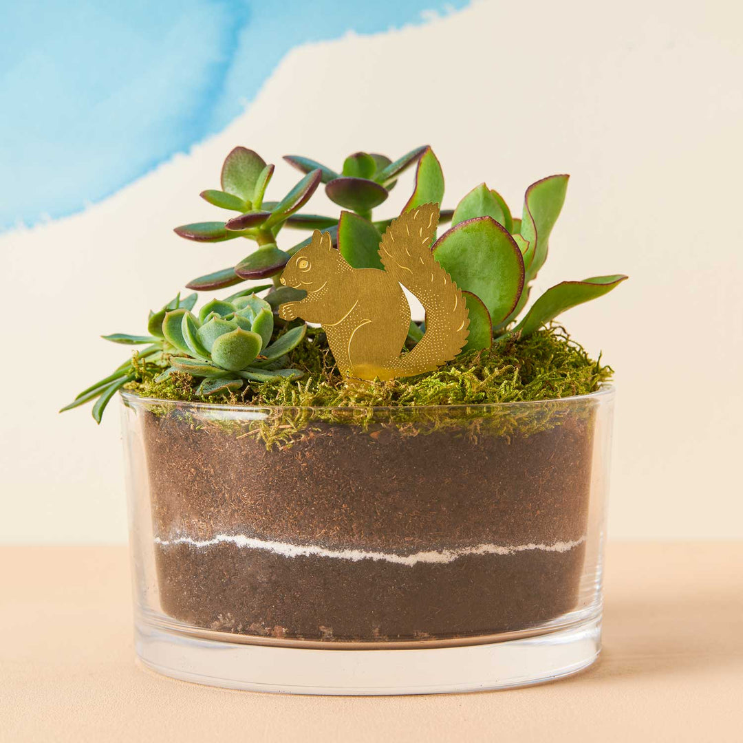 Plant Animals
