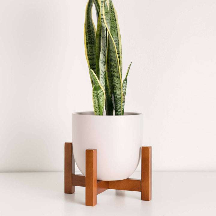 Contour Ceramic Planter + Medium Wood Stand Soft Pink