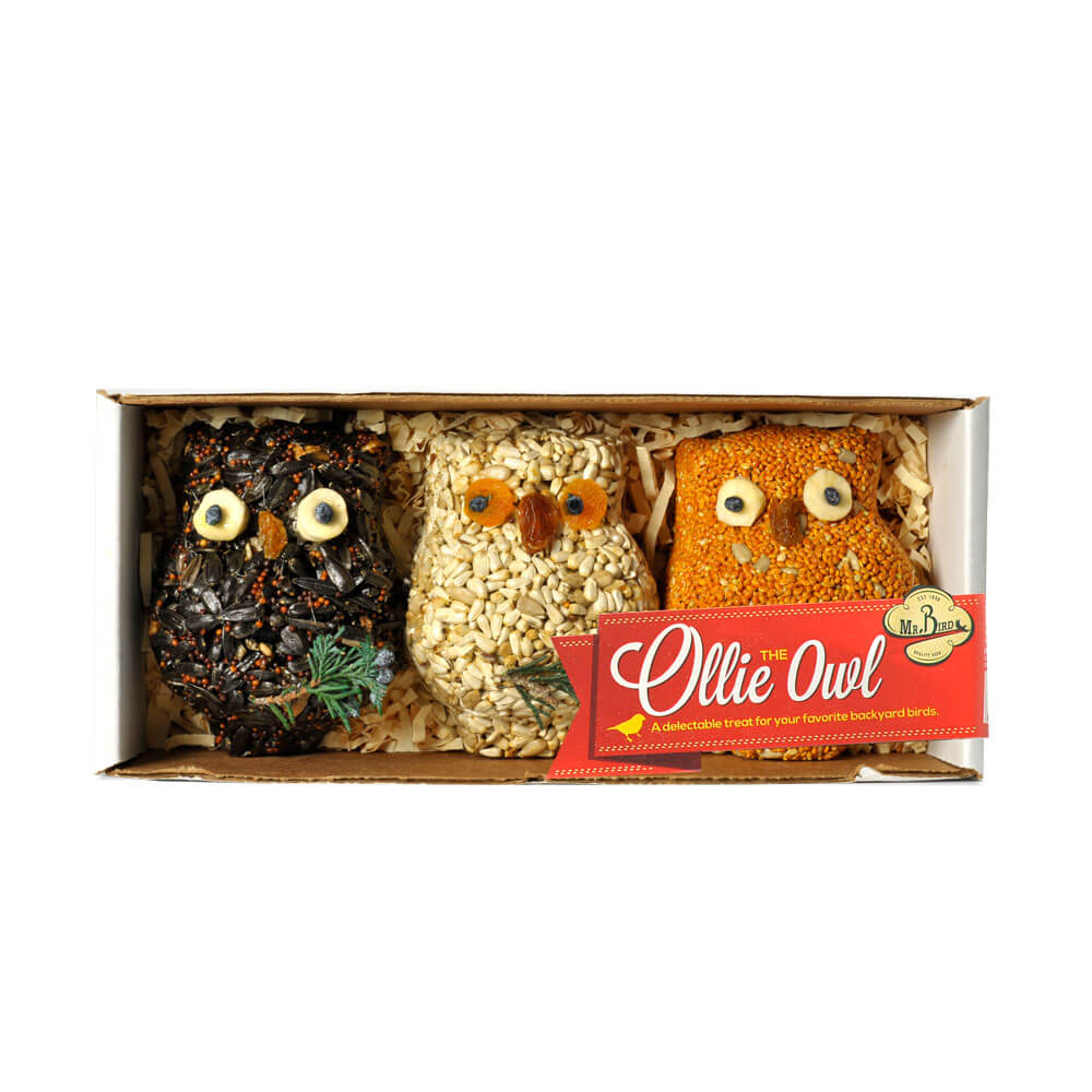 Ollie Owl Bird Treat - 3 Pack