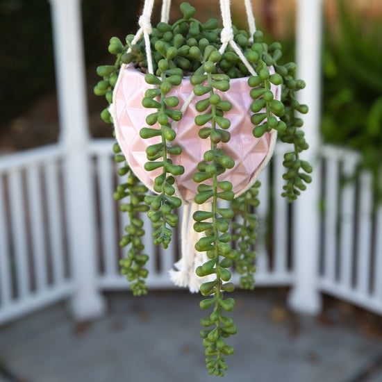 5" Ceramic Macrame Hanging Planter - Pink