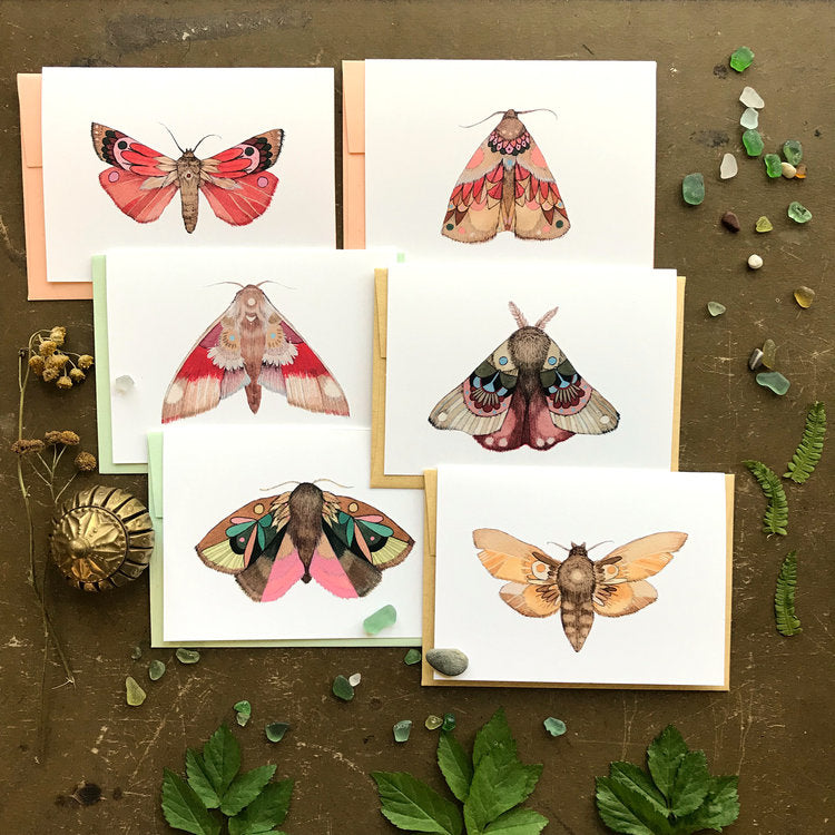 Collector: Moths Set 1 - Greeting Card Pack